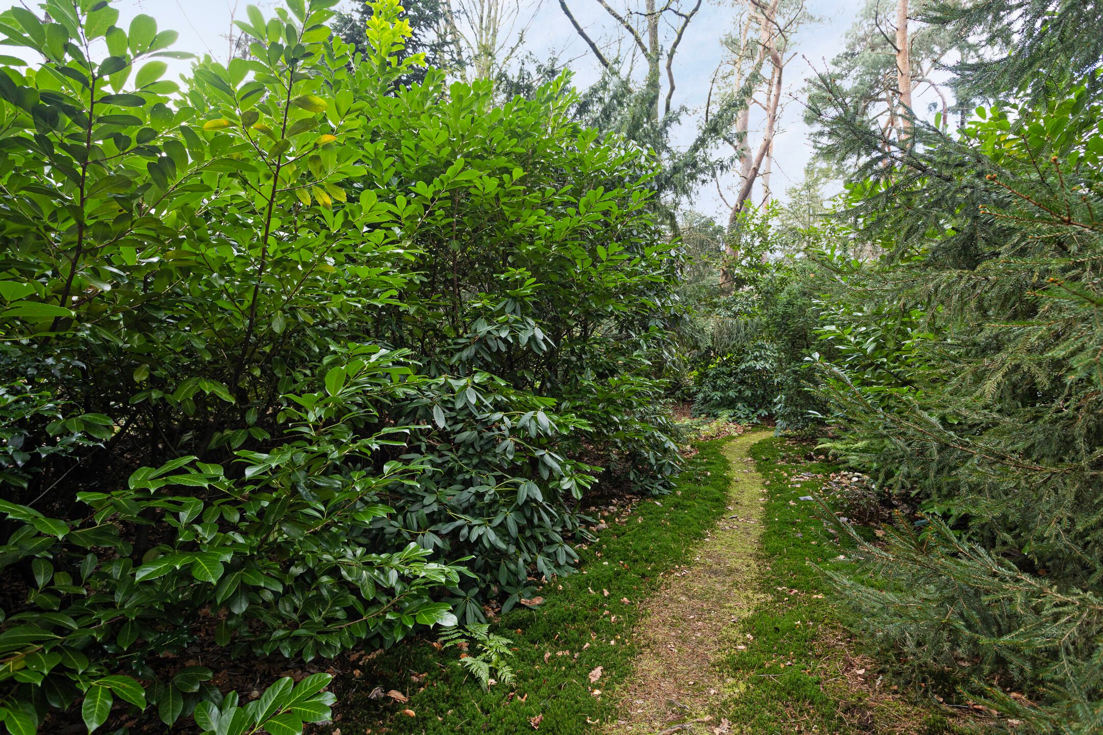 Foto 27 van Postweg 78