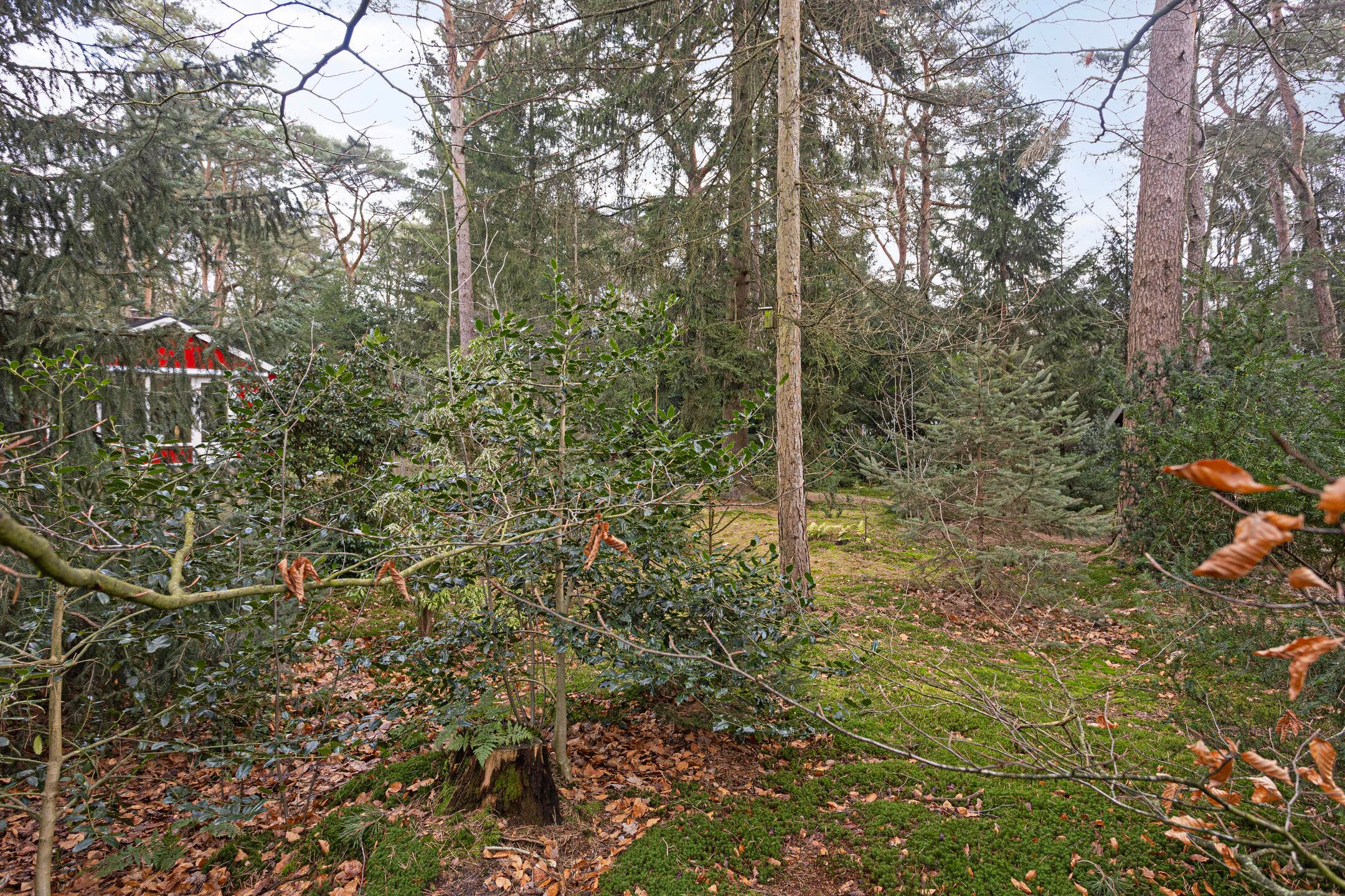 Foto 30 van Postweg 78