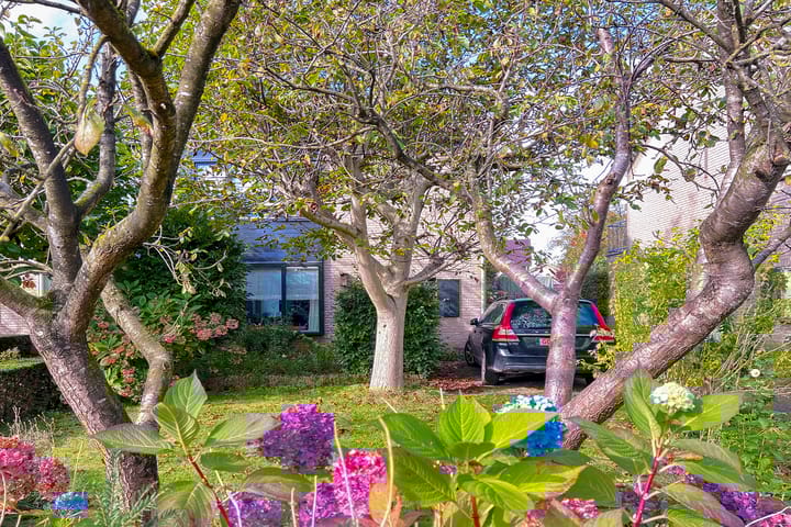 Foto 5 van De Kraan 5