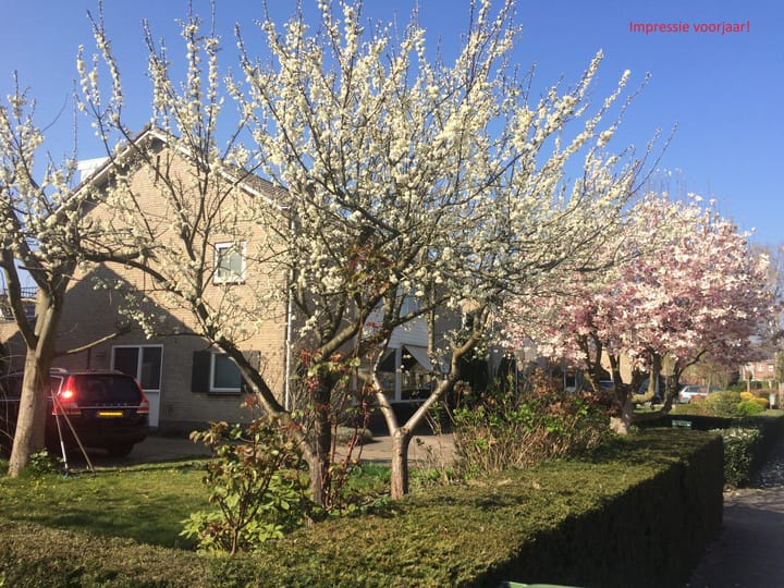 Foto 7 van De Kraan 5