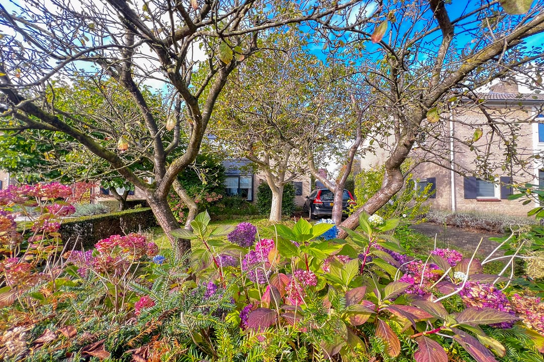 Photo 8 of De Kraan 5