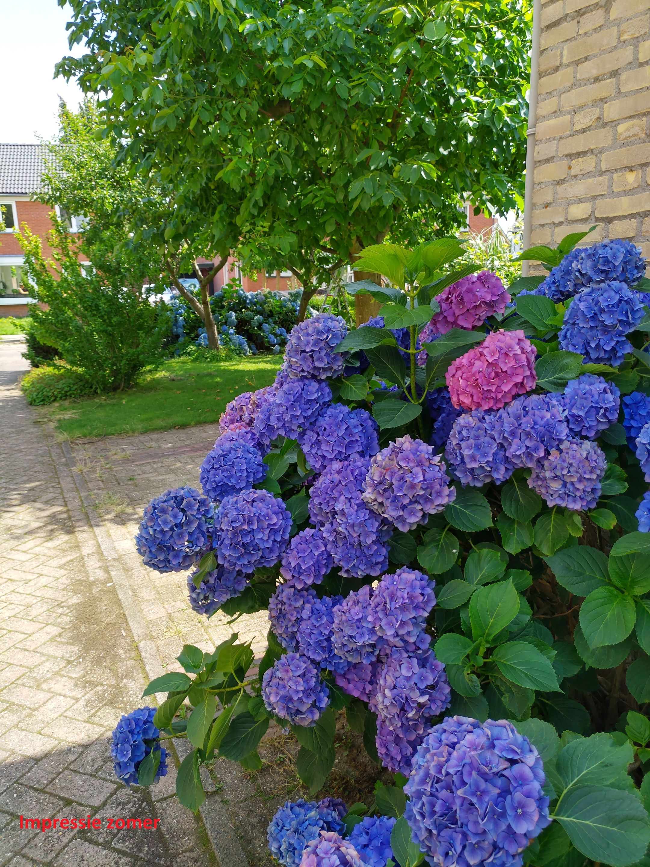 Photo 9 of De Kraan 5