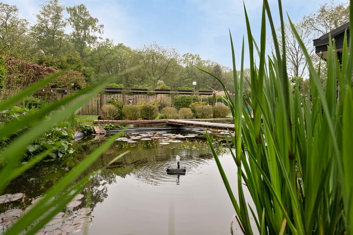 Photo 5 of Molenbosch 31