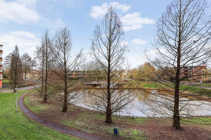 Foto 30 van Oldenallerhout 44