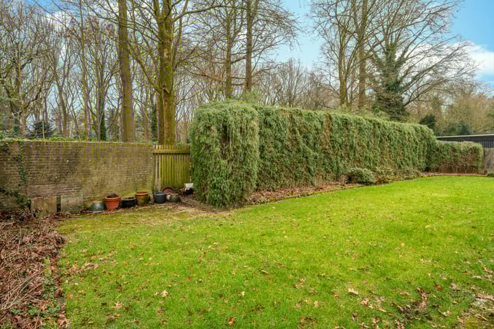 Foto 51 van Rijnlaan 9