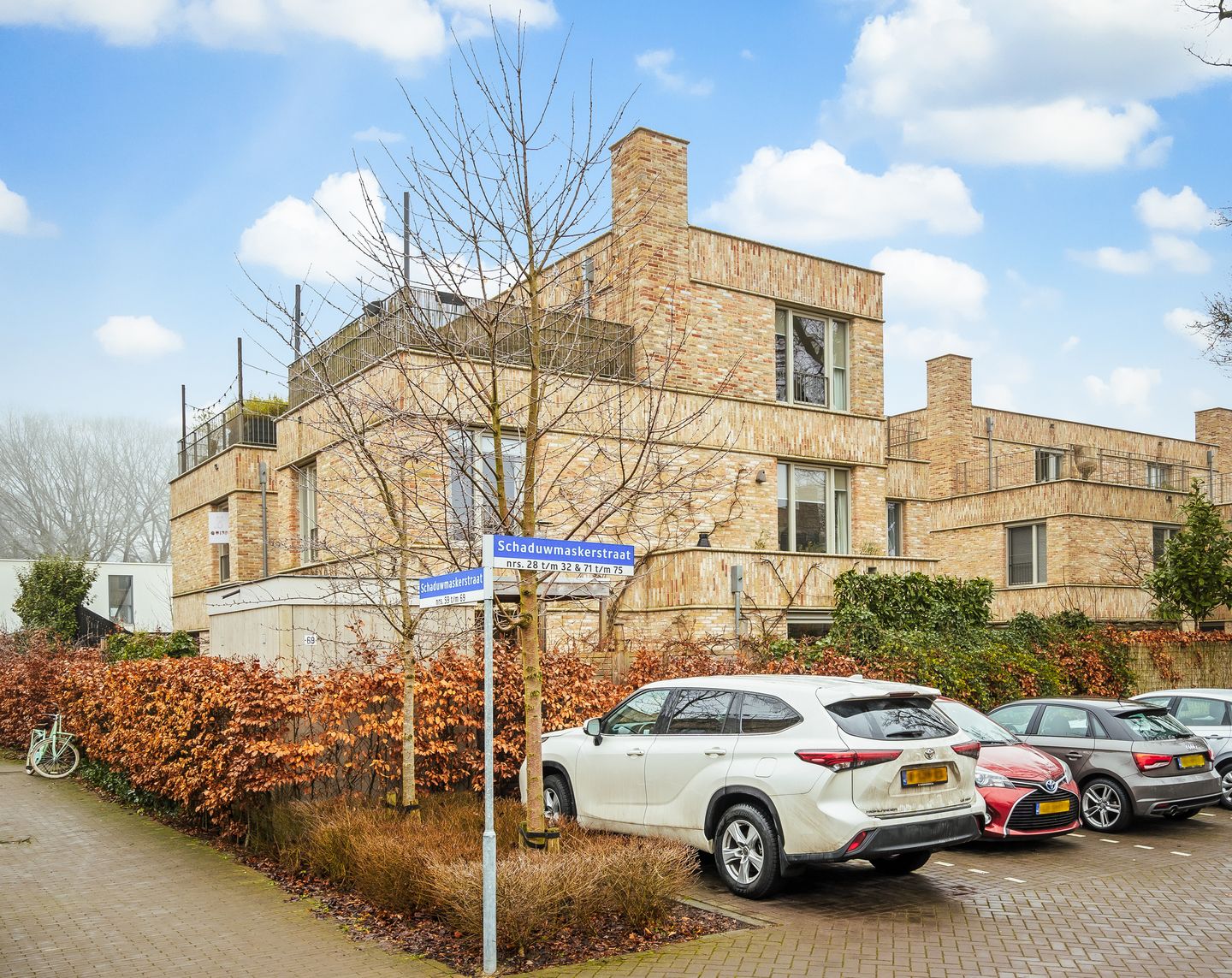 Foto 1 van Schaduwmaskerstraat 69