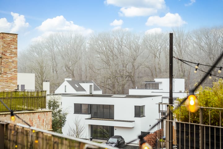 Foto 56 van Schaduwmaskerstraat 69