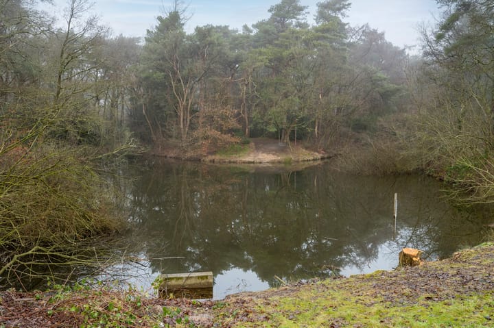 Foto 40 van Pothoffstraat 5