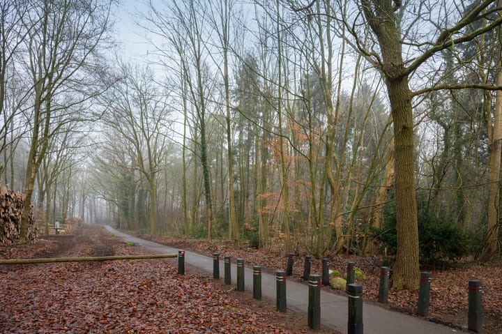 Foto 41 van Pothoffstraat 5