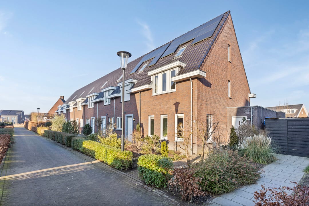 Foto 46 van Olievlas 20