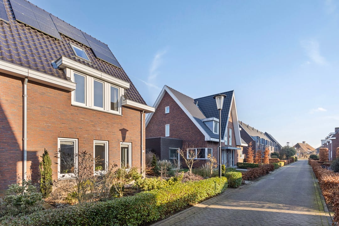 Foto 47 van Olievlas 20