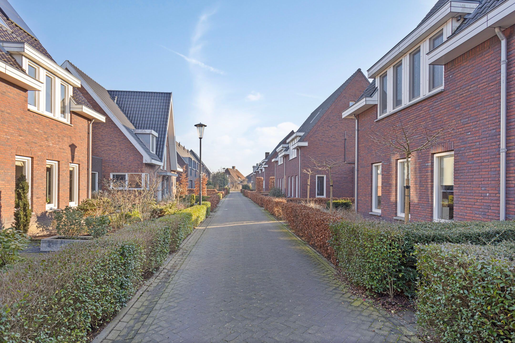 Foto 48 van Olievlas 20