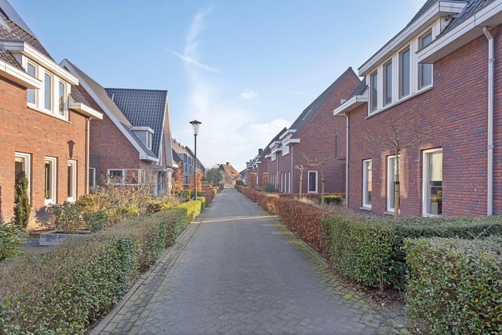 Foto 48 van Olievlas 20