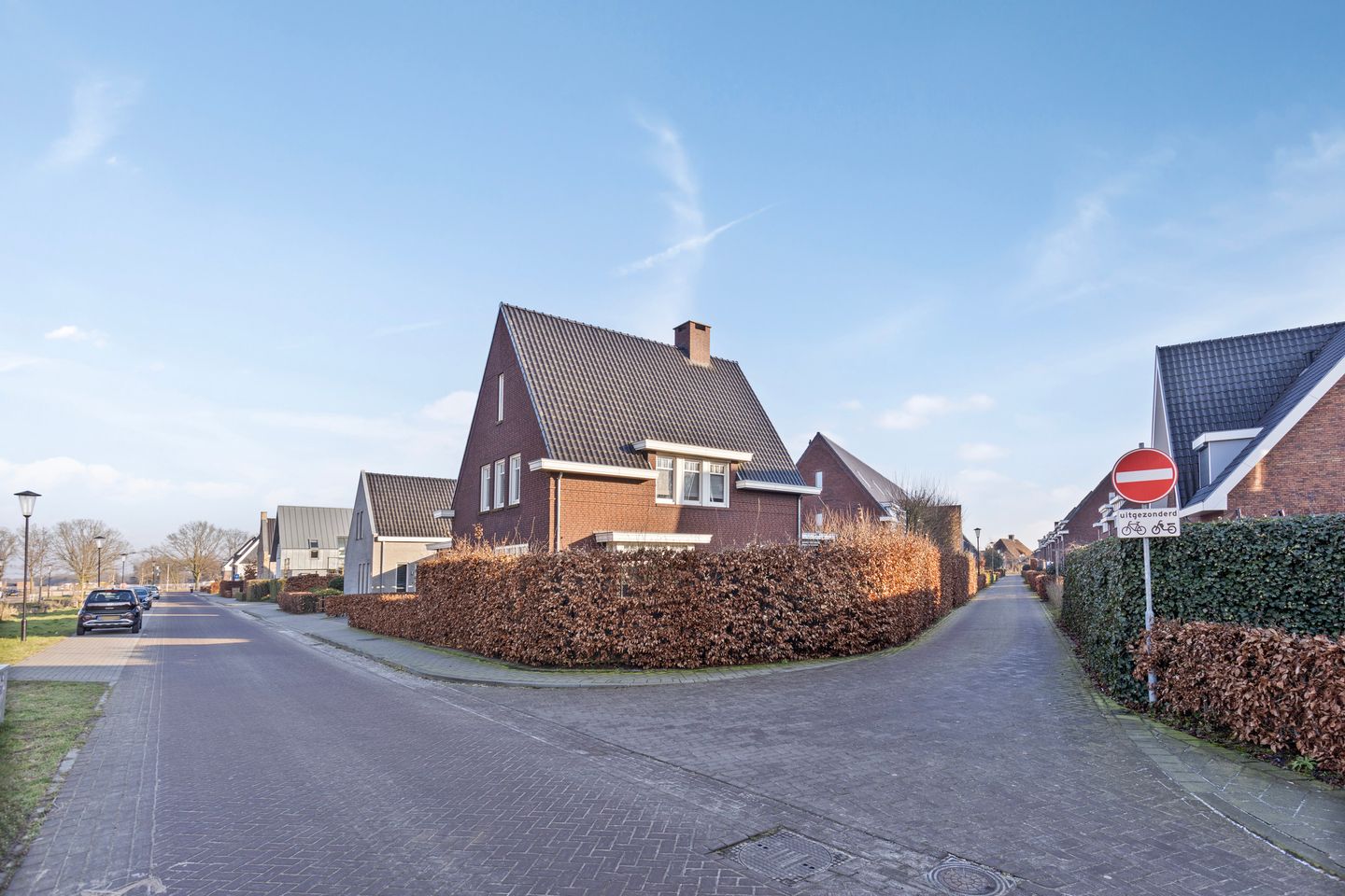 Foto 49 van Olievlas 20