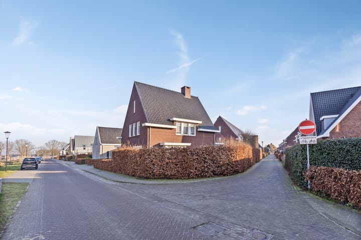 Foto 49 van Olievlas 20