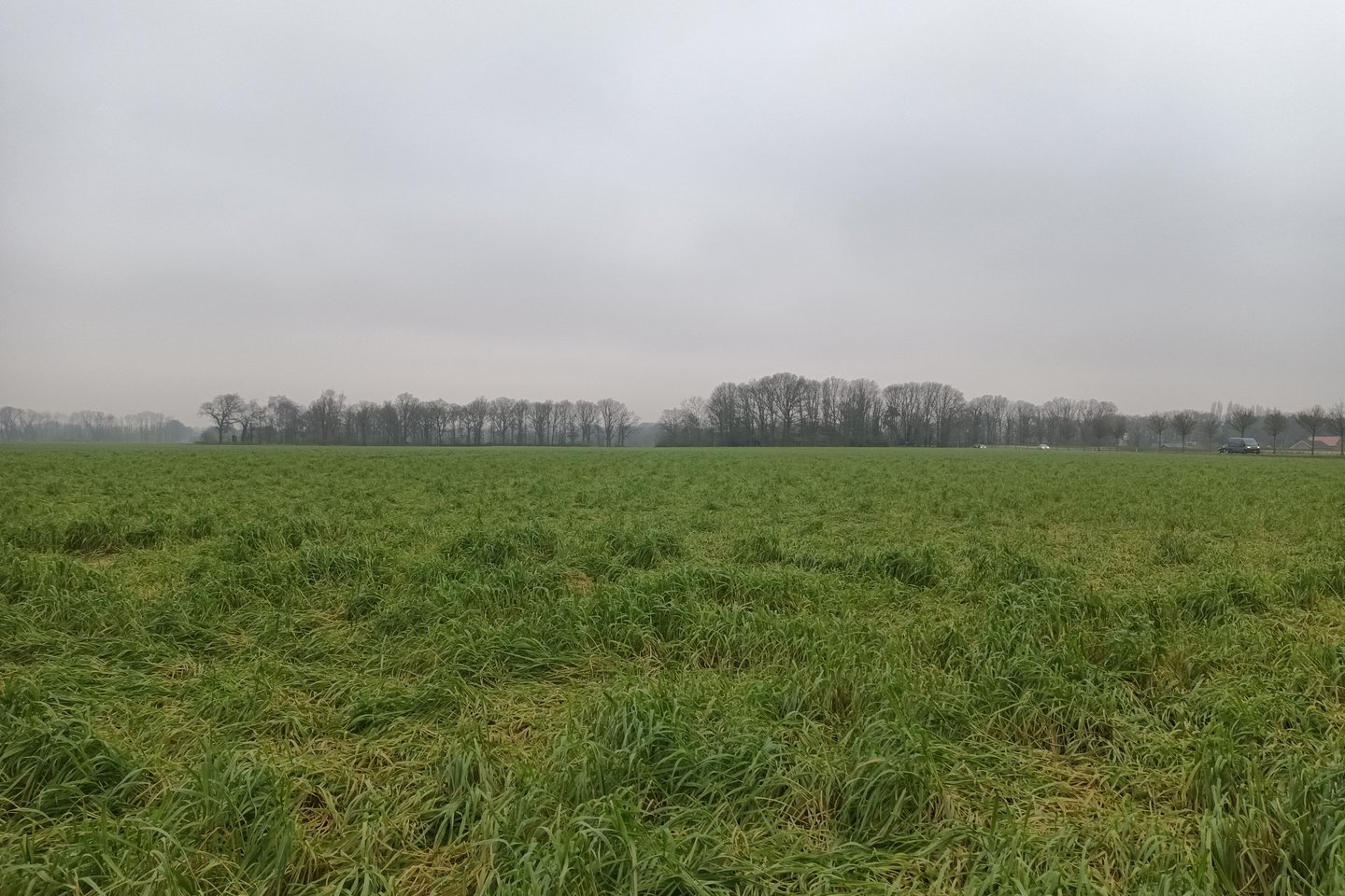 Bekijk foto 3 van Tungeler Dorpsstraat