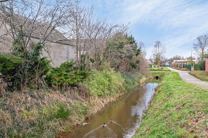 Foto 36 van Molenbloem 17