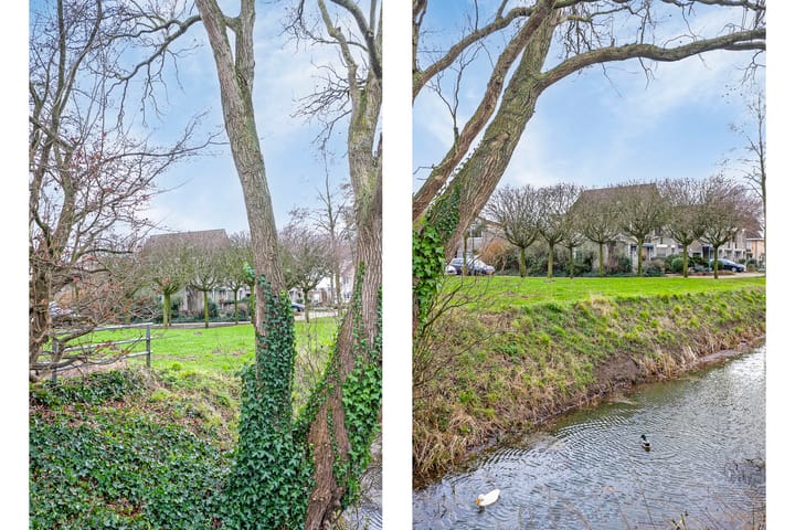 Foto 37 van Molenbloem 17