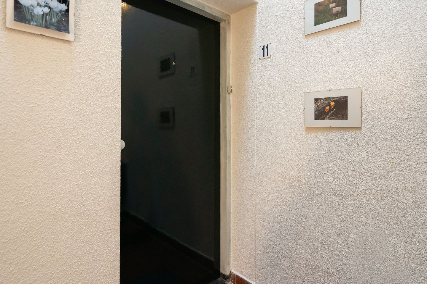 Foto 5 van Wijnstraat 11