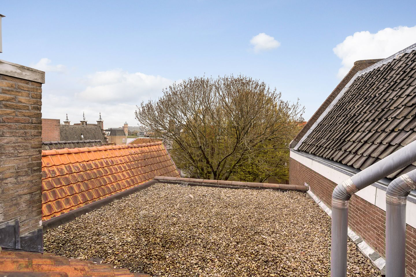 Foto 25 van Wijnstraat 11