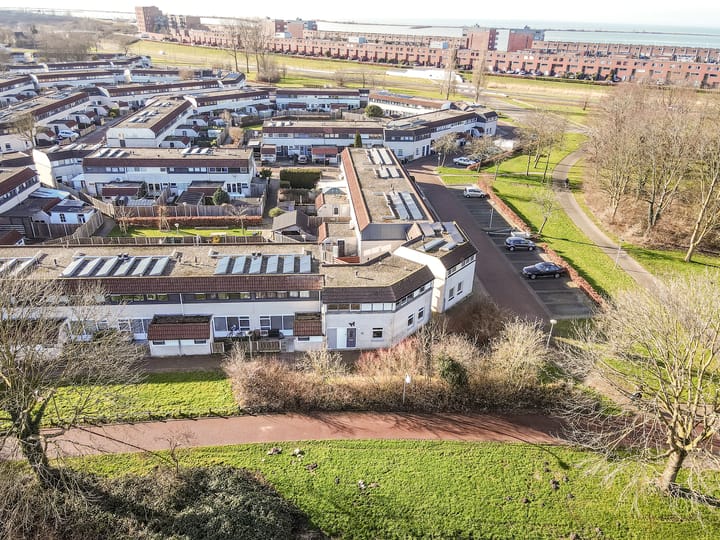 Foto 1 van Galjoen 29 26