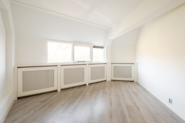 Foto 4 van Galjoen 29 26