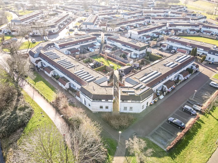 Foto 5 van Galjoen 29 26