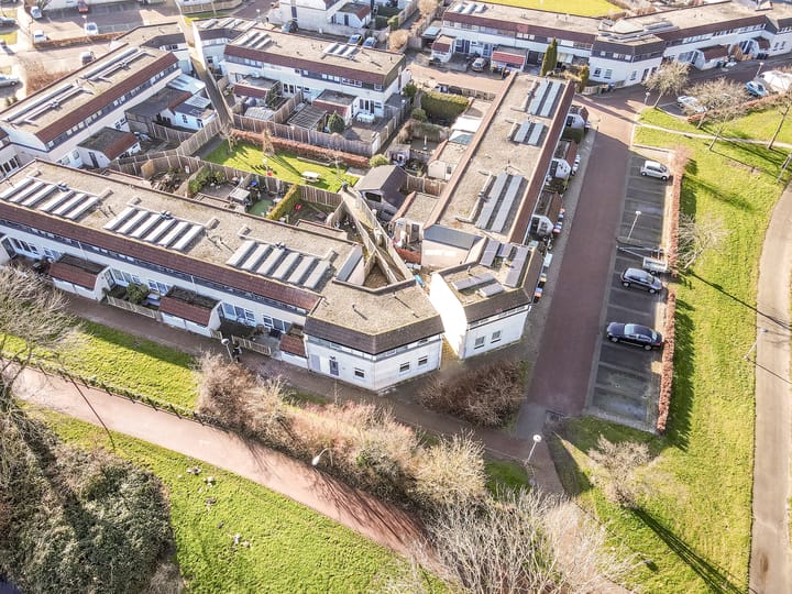 Foto 6 van Galjoen 29 26