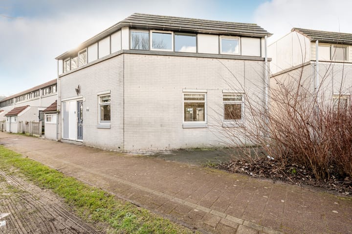 Foto 7 van Galjoen 29 26