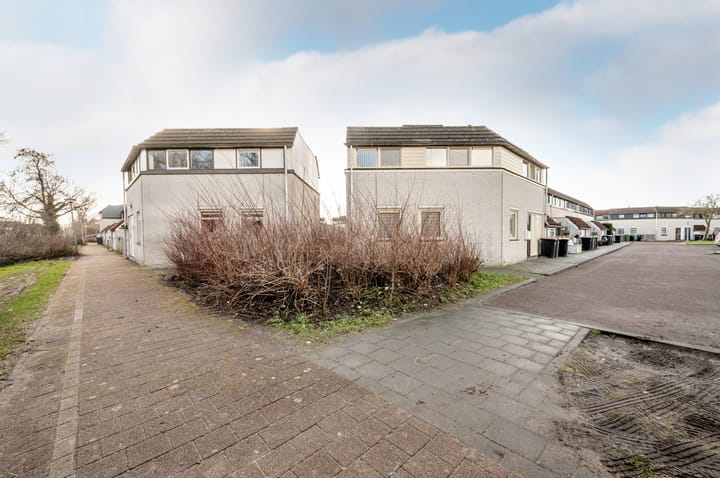 Foto 8 van Galjoen 29 26