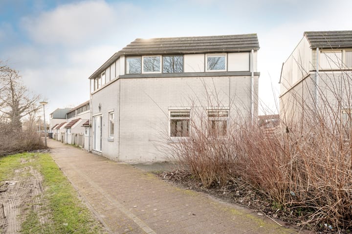 Foto 9 van Galjoen 29 26