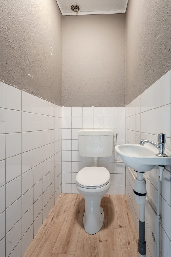 Foto 12 van Galjoen 29 26