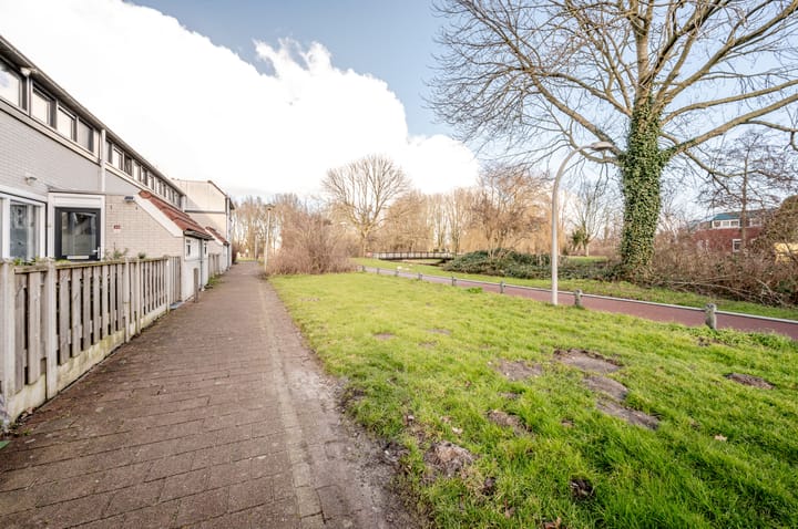 Foto 36 van Galjoen 29 26