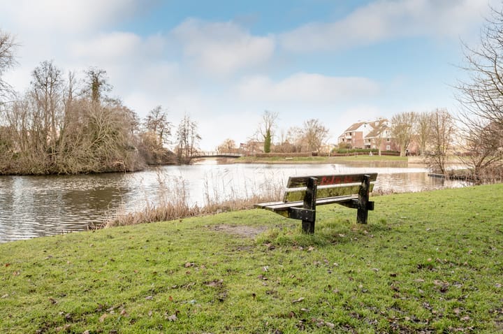 Foto 38 van Galjoen 29 26