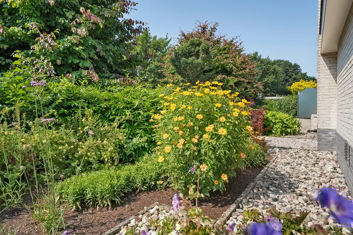 Foto 8 van van Ostadestraat 92