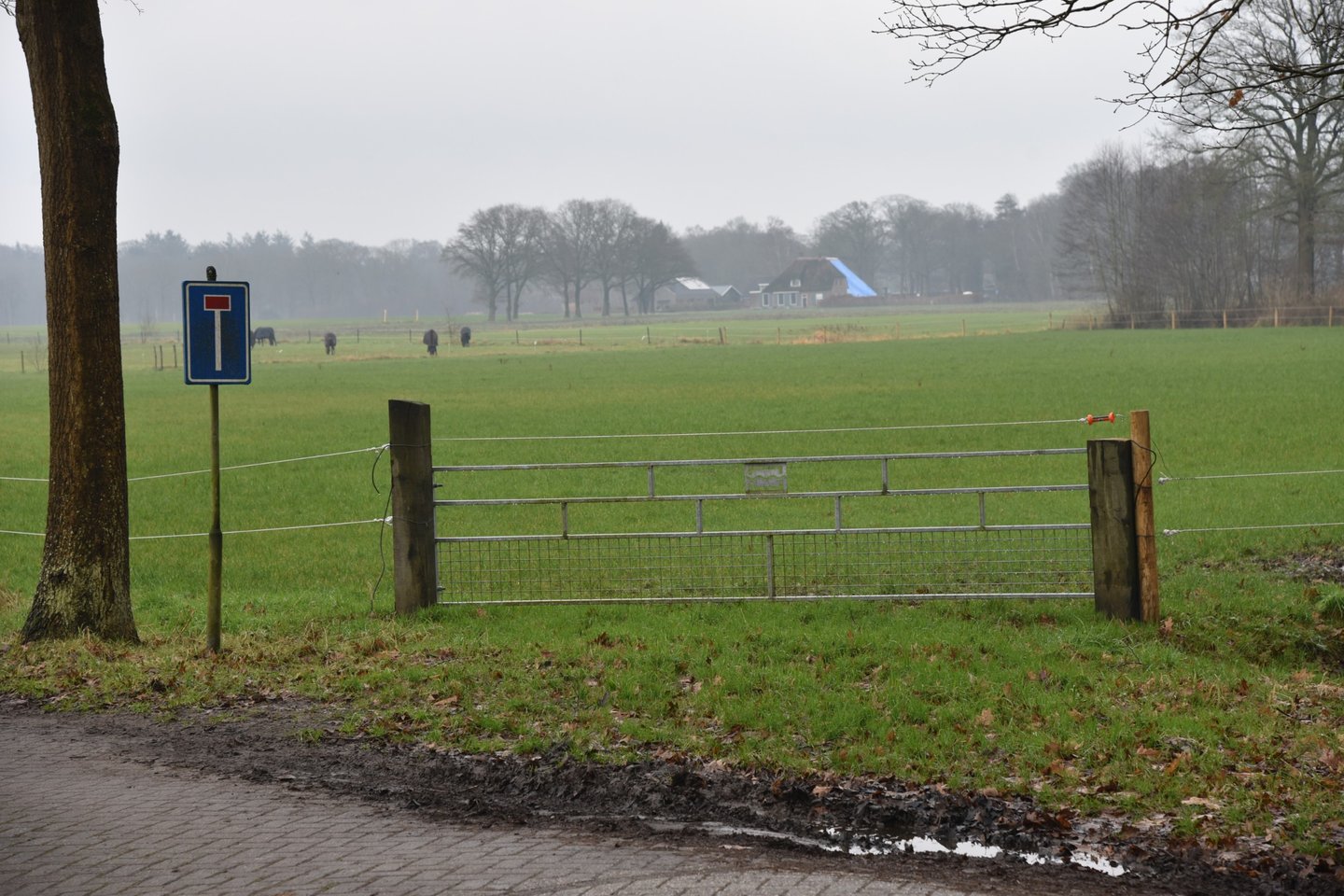 Bekijk foto 3 van Borgelinksweg 2-nabij