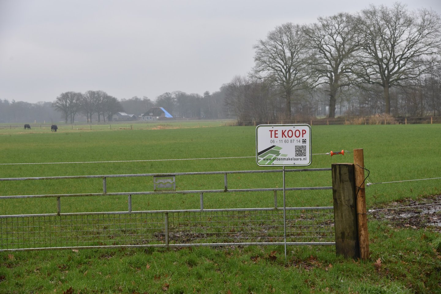 Bekijk foto 2 van Borgelinksweg 2-nabij