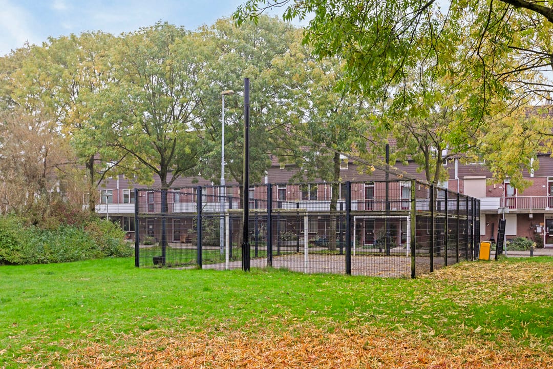 Foto 23 van Mexicodreef 223