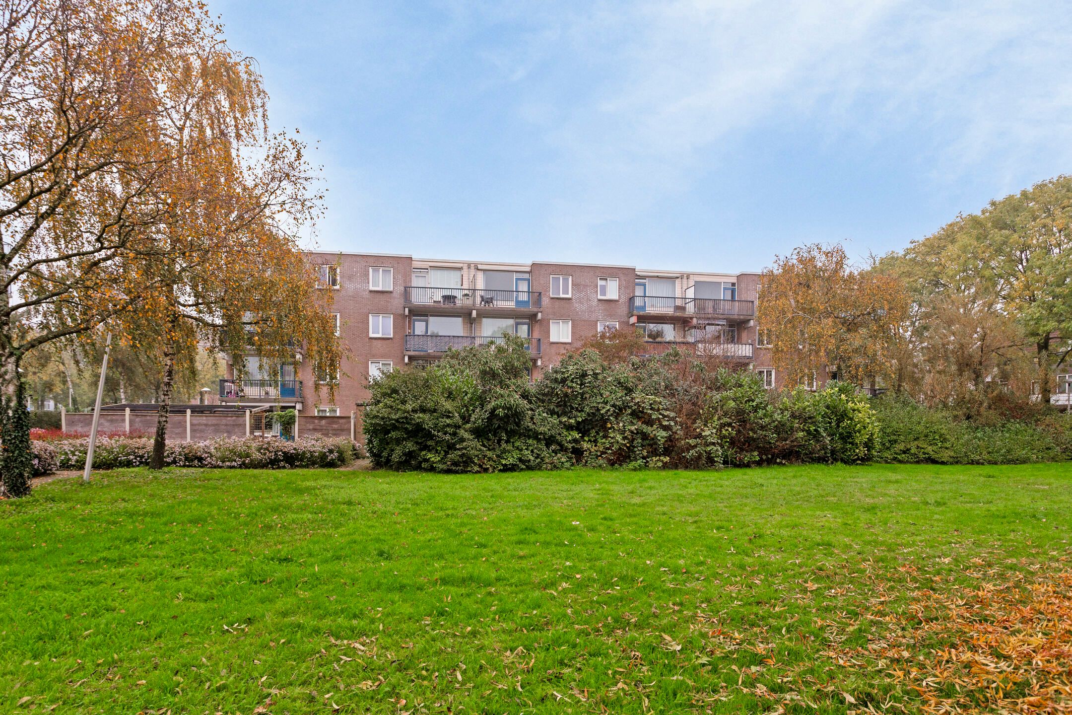 Foto 24 van Mexicodreef 223