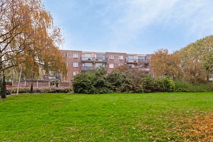 Foto 24 van Mexicodreef 223