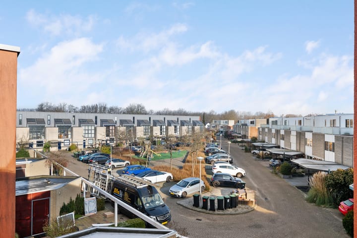 Foto 35 van Poolsezoom 29