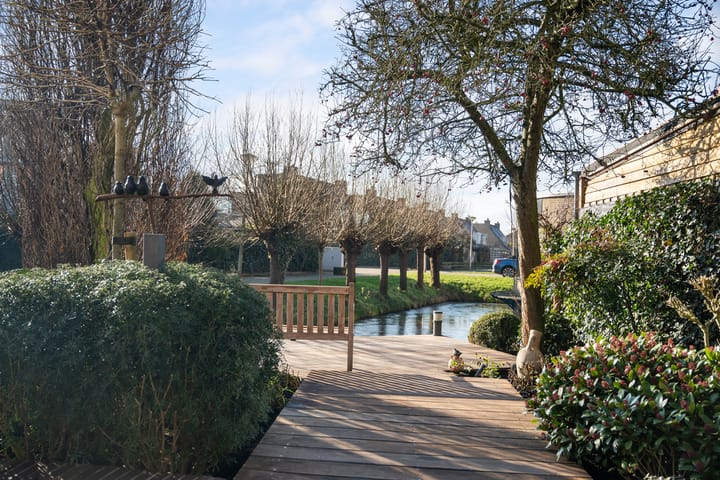 Foto 42 van Poolsezoom 29