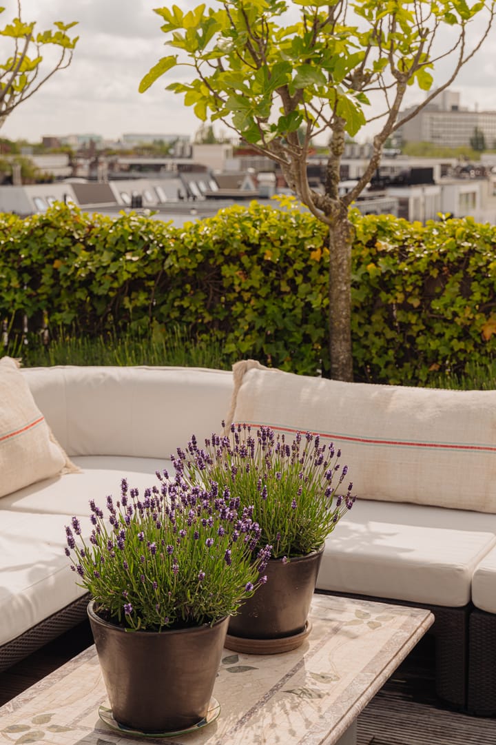 Foto 43 van Van Baerlestraat 124-2