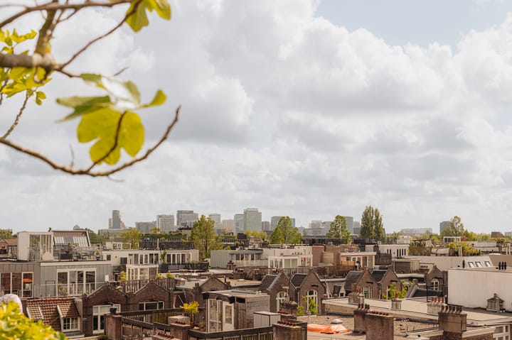 Foto 47 van Van Baerlestraat 124-2