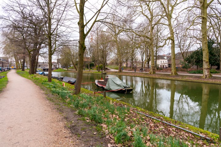 Foto 6 van Tolsteegsingel 28