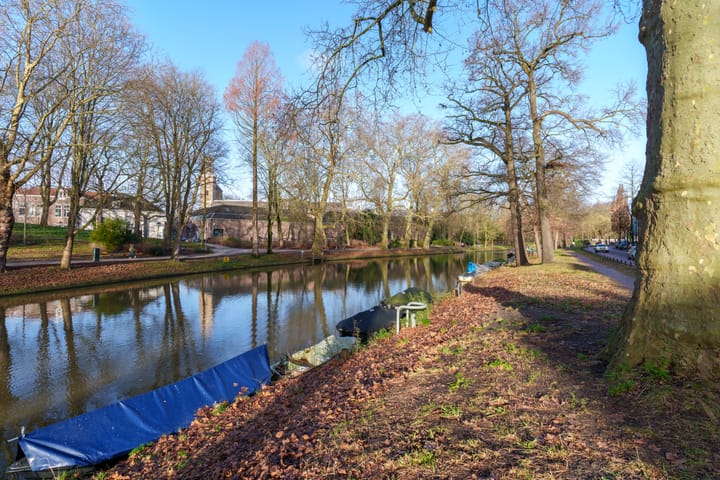 Foto 54 van Tolsteegsingel 28