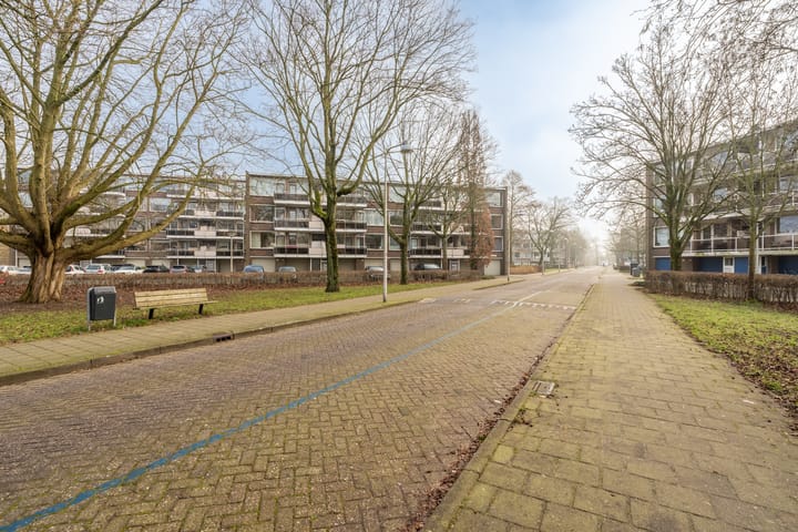 Foto 39 van Julianaplantsoen 157