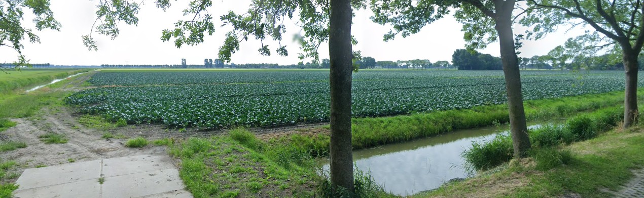 View photo 4 of Zuiderweg 6