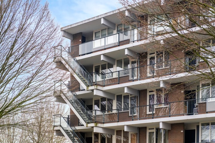 Foto 2 van Loplein 59