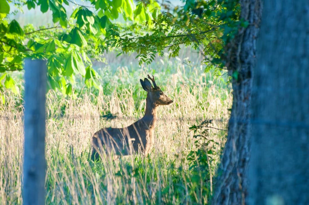 Foto 53 van Van Kluijvelaan 32